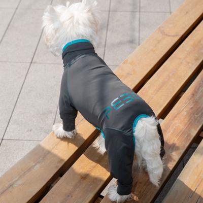 Show full view: Pebot Troublemaker Dog & Cat UV Protection Onesie, Dark Gray, Size 10 slide 2 of 7