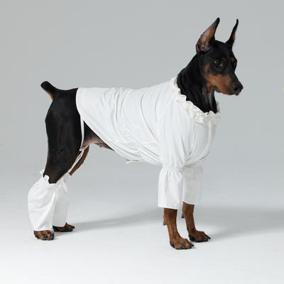 Show full view: Pebot Queen Dog & Cat Blouse & Bloomer Set, White, 12 slide 3 of 4