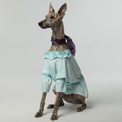 Show full view: Pebot Queen Dog & Cat Blouse & Bloomer Set, Light Blue, 10 slide 2 of 5