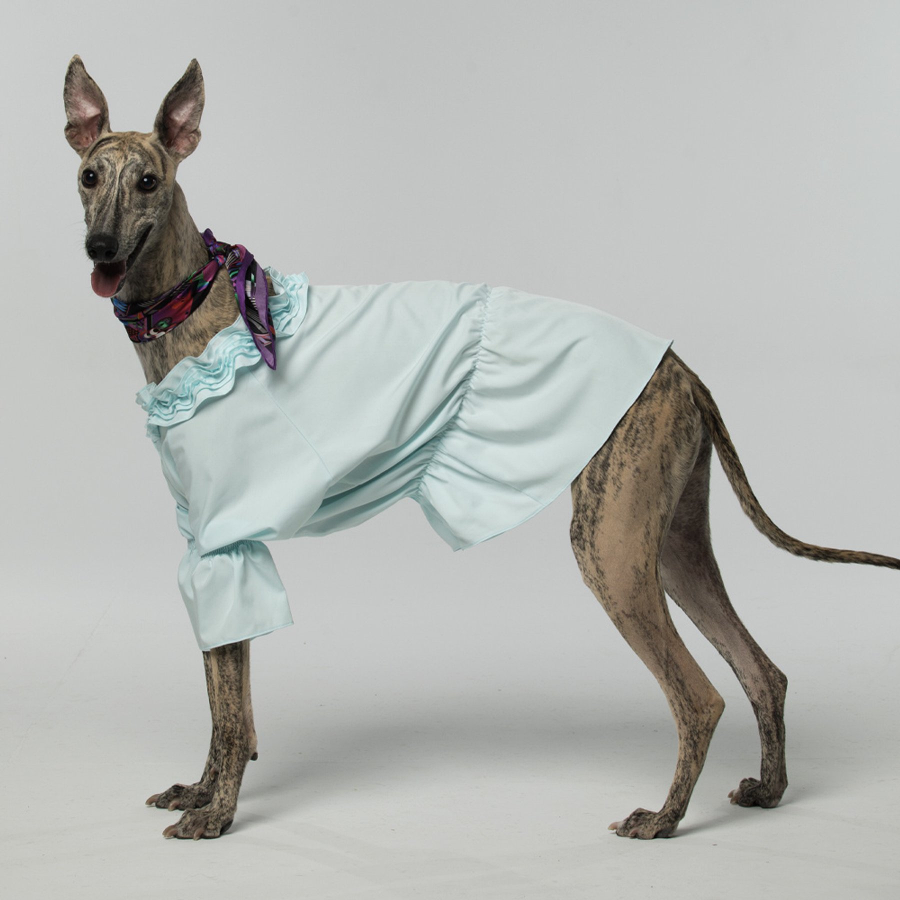 Pebot Queen Dog & Cat Blouse & Bloomer Set, Light Blue, 16
