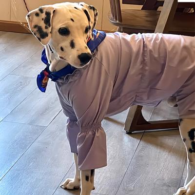 Show full view: Pebot Queen Dog & Cat Blouse & Bloomer Set, Lilac, 10 slide 3 of 4