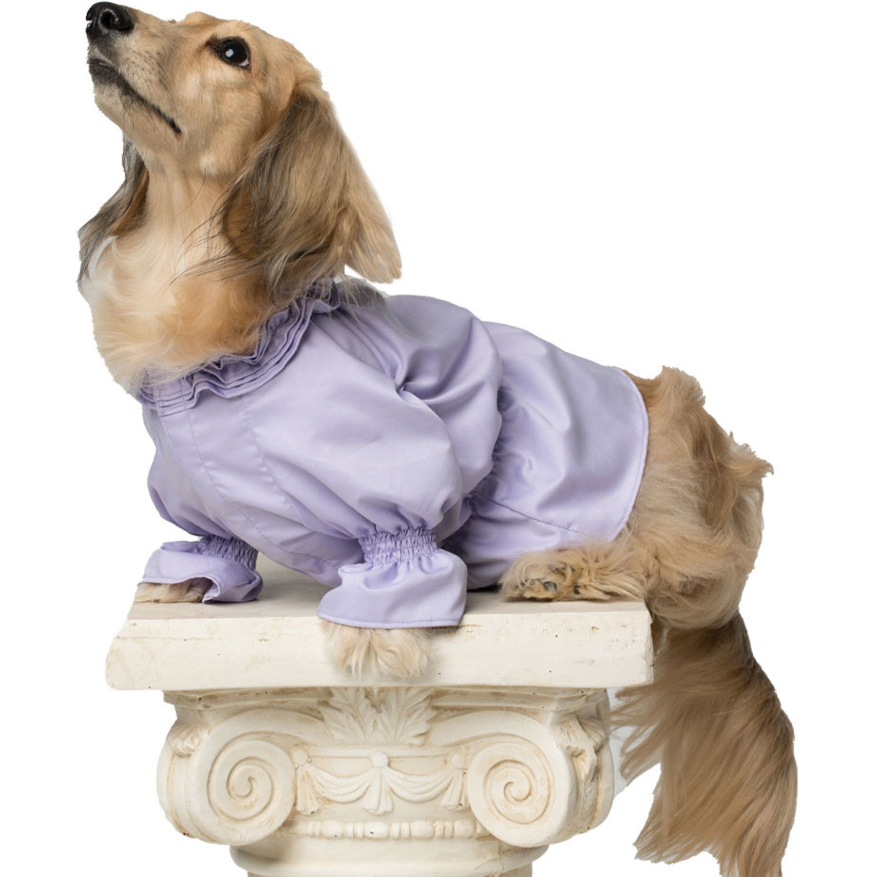 Pebot Queen Dog & Cat Blouse & Bloomer Set, Lilac, 18