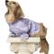 Show in main carousel: Pebot Queen Dog & Cat Blouse & Bloomer Set, Lilac, 10 slide 1 of 4
