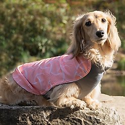 Pebot Hedwig Dog & Cat Sun Protection Cooling Harness, Pink Geo, Size 12