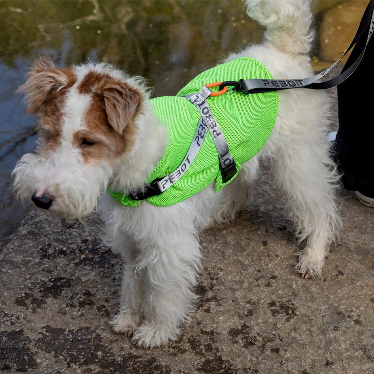 Pebot Hedwig Dog & Cat Sun Protection Cooling Harness, Green, Size 10