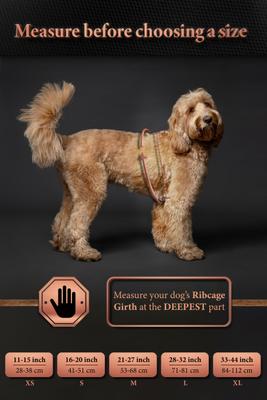 Show full view: Noah & Paw Reflective Dog Life Jacket, Yellow, Small slide 4 of 8