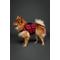 Show in main carousel: Noah & Paw Reflective Dog Life Jacket, Red, Small slide 3 of 9