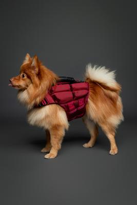 Show full view: Noah & Paw Reflective Dog Life Jacket, Red, Small slide 3 of 9