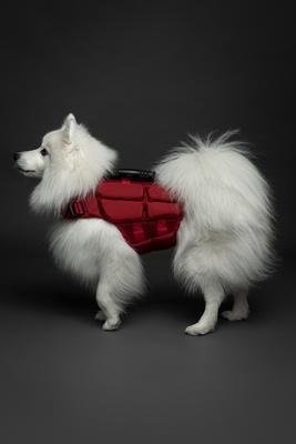Show full view: Noah & Paw Reflective Dog Life Jacket, Red, Small slide 4 of 9