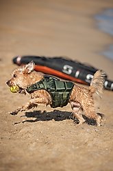 Noah & Paw Reflective Dog Life Jacket, Green, Small slide 2 of 8