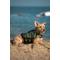 Show in main carousel: Noah & Paw Reflective Dog Life Jacket, Green, Small slide 8 of 9