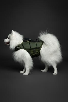 Show full view: Noah & Paw Reflective Dog Life Jacket, Green, Small slide 4 of 9