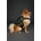 Show in main carousel: Noah & Paw Reflective Dog Life Jacket, Green, Small slide 3 of 9