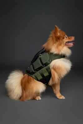Show full view: Noah & Paw Reflective Dog Life Jacket, Green, Small slide 3 of 9