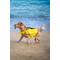 Show in main carousel: Noah & Paw Reflective Dog Life Jacket, Yellow, Small slide 8 of 8
