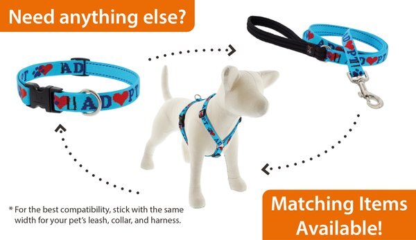 LupinePet Adopt Adjustable Dog Harness