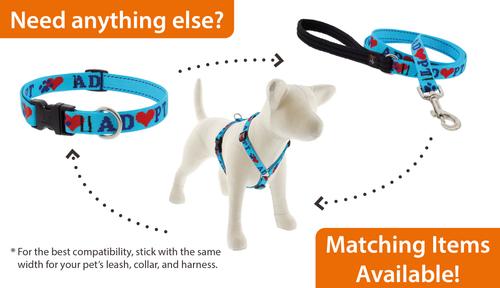 Show full view: LupinePet Adopt Dog Collar, Medium: 13 to 22-in neck, 3/4-in wide slide 4 of 5