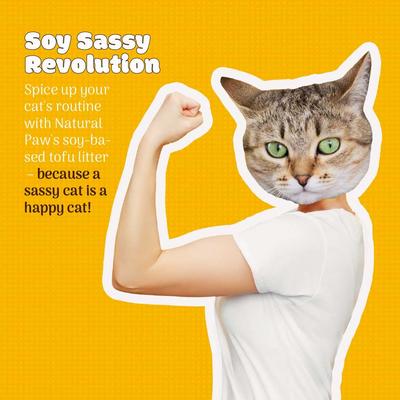 Show full view: Natural Paw Tofu Cat Litter Refill Bag, 4.5-lb bag, Unscented slide 7 of 8