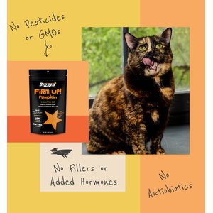 Diggin' Your Dog Firm Up! Pumpkin Digestive Aid Powder Supplement for Dogs & Cats, 4-oz bag