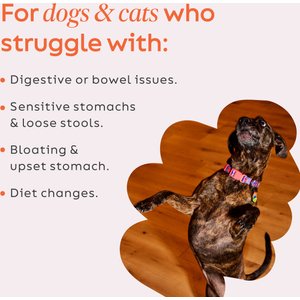 Diggin' Your Dog Firm Up! Pumpkin Digestive Aid Powder Supplement for Dogs & Cats, 4-oz bag