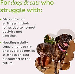 Super Snouts Joint Power Powder Joint Supplement for Dogs & Cats, 2.64-oz jar slide 2 of 9