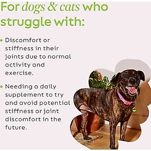 Super Snouts Joint Power Powder Joint Supplement for Dogs & Cats, 2.64-oz jar