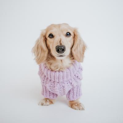 Show full view: Sassy Woof Cable Knit Dog Sweater, Lavender, Large slide 6 of 9