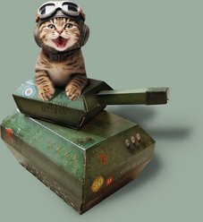Suck UK Playhouse Tank Cat Scratcher