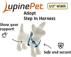 LupinePet Adopt Step-In Dog Harness, X-Small: 10 to 13-in chest, 1/2-in wide slide 2 of 6