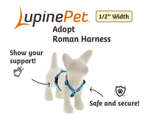 Show full view: LupinePet Adopt Adjustable Dog Harness, Small: 12 to 20-in chest, 1/2-in wide slide 2 of 6