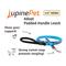 Show in main carousel: LupinePet Adopt Padded Handle Dog Leash, Regular: 6-ft long, 1/2-in wide slide 2 of 5