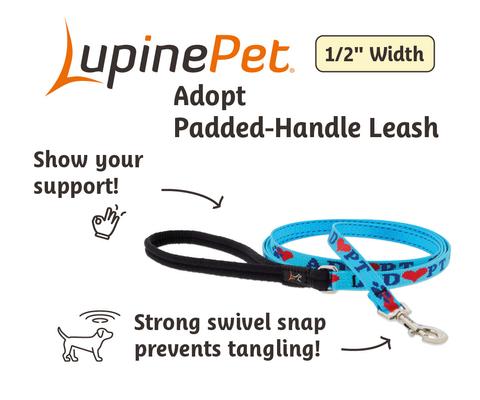 Show full view: LupinePet Adopt Padded Handle Dog Leash, Regular: 6-ft long, 1/2-in wide slide 2 of 5