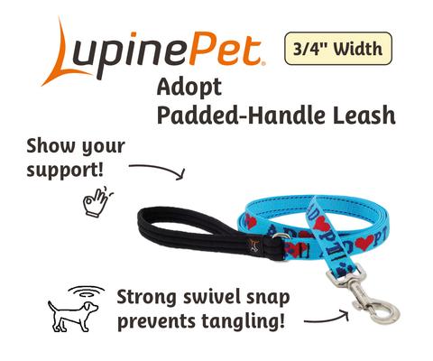 Show full view: LupinePet Adopt Padded Handle Dog Leash, Regular: 6-ft long, 3/4-in wide slide 2 of 5