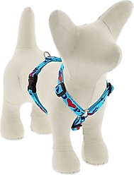 LupinePet Adopt Adjustable Dog Harness, X-Small: 9 to 14-in chest, 1/2-in wide