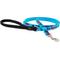 Show in main carousel: LupinePet Adopt Padded Handle Dog Leash, Regular: 6-ft long, 1/2-in wide slide 1 of 5