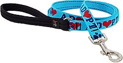 LupinePet Adopt Padded Handle Dog Leash, Regular: 6-ft long, 3/4-in wide