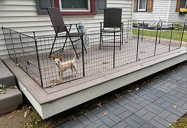 Show full view: FXW Minipaws Expandable Indoor & Outdoor Dog Playpen, Black, 24-in, 16-panel slide 2 of 9