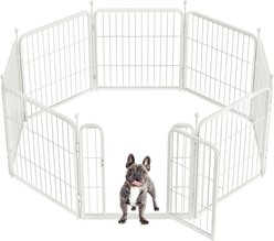FXW Rollick Indoor & Outdoor Dog Playpen, White, 24-in, 8-panel