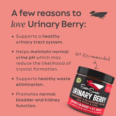 Show full view: Super Snouts Berry Cranberry & Wild Blueberry Urinary Tract Dog Supplement, 2.64-oz jar slide 4 of 12