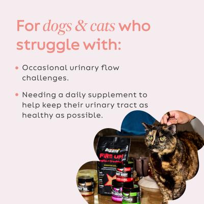 Show full view: Super Snouts Berry Cranberry & Wild Blueberry Urinary Tract Dog Supplement, 2.64-oz jar slide 5 of 12