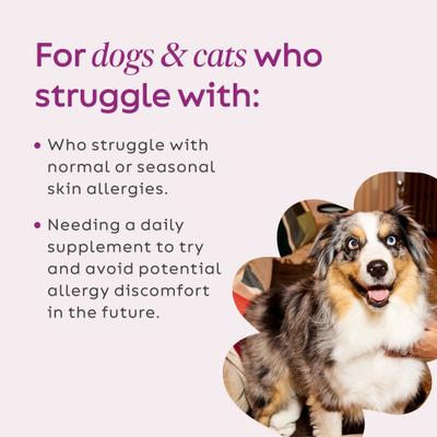 Show full view: Super Snouts Super Shrooms Organic Super 7 Mushroom Blend Dog Immune Support Supplement, 2.64-oz jar slide 5 of 13