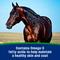 Show in main carousel: Farnam Weight Builder Weight Support Supplement for Horses, 22.5-lb, 90 Day Supply slide 6 of 8