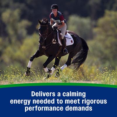 Show full view: Farnam Weight Builder Weight Support Supplement for Horses, 22.5-lb, 90 Day Supply slide 5 of 8