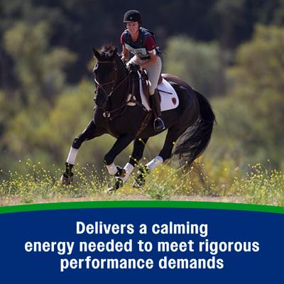 Show full view: Farnam Weight Builder Weight Support Supplement for Horses, 22.5-lb, 90 Day Supply slide 6 of 10