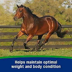 Farnam Weight Builder Weight Support Supplement for Horses, 7.5-lb, 30 Day Supply slide 2 of 9