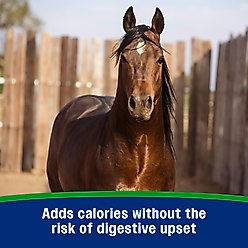 Farnam Weight Builder Weight Support Supplement for Horses, 22.5-lb, 90 Day Supply slide 2 of 8