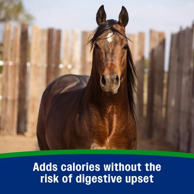 Show full view: Farnam Weight Builder Weight Support Supplement for Horses, 22.5-lb, 90 Day Supply slide 2 of 8