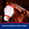 Show in main carousel: Farnam SuperMask II Horse Fly Mask Classic Collection, Color Varies, Horse slide 5 of 11