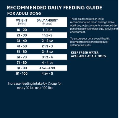 Show full view: Next Level Super Premium Pet Food Senior Healthy Weight Dry Dog Food, 4-lb bag slide 6 of 9