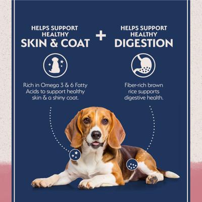 Natural Balance Limited Ingredient Salmon & Brown Rice Recipe Dry Dog Food